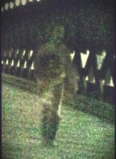 a blurry image of a person walking in the grass