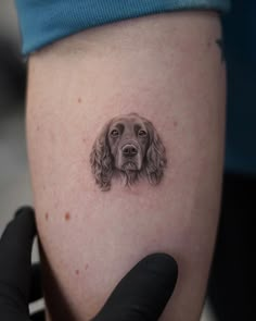 a dog's head is shown on the thigh