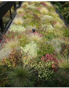 a green roof covered in lots of plants and flowers