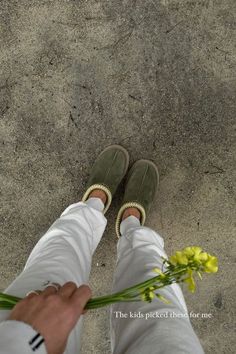 I absolutely love these platform Tazz Mule Uggs - and I especially like them in this green color. They match the flowers the kids picked for me. I've linked these Uggs on my LTK page if you need help finding them! | clogs, slippers, shoes, comfort, looks, accessories, clothing, wardrobe, style Green Ugg Slippers Outfit, Olive Green Tasman Uggs Outfits, Ugg Tazz Mule, Green Tazz Uggs, Burnt Olive Tasman Slipper, Ugg Tazz Mustard Seed, Green Uggs, Ugg Slippers Outfit, Ugg Tazz