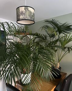 a lamp hanging from the ceiling above a table with chairs and a plant on it