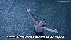 a shirtless man in the rain with his arms up and hands out, saying some birds aren't meant to be caged