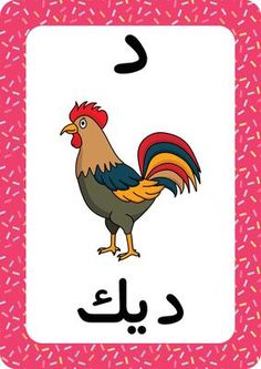 an arabic alphabet with a rooster on it