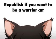 a black cat with the caption republish if you want to be a warrior cat