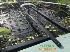 an outdoor pond with water and plants growing out of the bottom, surrounded by metal grates