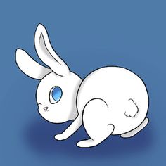 a white rabbit with blue eyes laying down