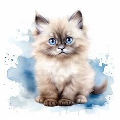 a small kitten with blue eyes sitting on top of a white floor next to watercolor stains