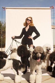 a woman in black is standing with her poodles on a leash and posing for the camera