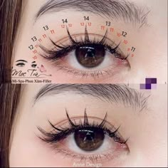 Cute Eyelashes, Anime Lashes, Teknik Makeup, Mekap Mata, Doll Eye Makeup, Korean Eye Makeup, Eyelash Extentions, Ulzzang Makeup