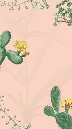 a cactus plant with yellow flowers and green leaves on a pink wallpapered background