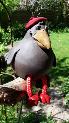 a black bird with a red hat is sitting on a branch in the grass outside