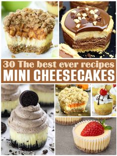 the best ever mini cheesecakes and desserts to bake or bake