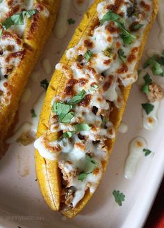 two grilled corn on the cob with cheese and herbs