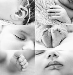 black and white images of a baby's head, hands, feet and nose