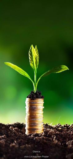 a plant sprouting out of a stack of coins on top of dirt with green blurry background