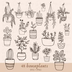 hand drawn potted plants clipart set