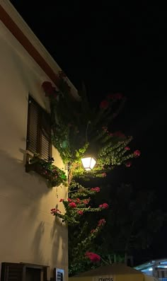 a lamp post with flowers growing on it next to a white building at night time