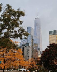 the skyscrapers in new york city are lit up with autumn foliage and yellow leaves