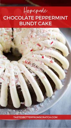 Easy homemade Chocolate Peppermint Bundt Cake, ideal for Christmas. Bundtlette Recipes, Chocolate Peppermint Bundt Cake, Peppermint Bundt Cake, Blue Binder, Easy Christmas Dessert, Easy Dessert Recipes Christmas, Peppermint Cake, Mini Bundt