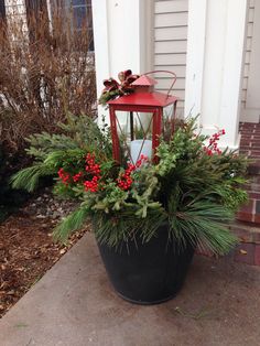 a potted plant with red berries and greenery in front of a white house