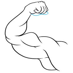 a drawing of the arm muscles