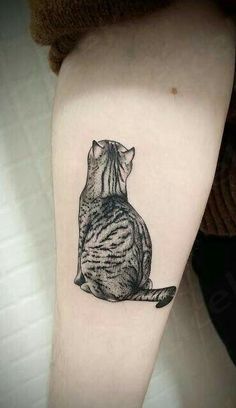 a black and white cat tattoo on the right arm, it looks like he is sitting down