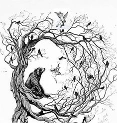 a drawing of a bear in a tree surrounded by birds