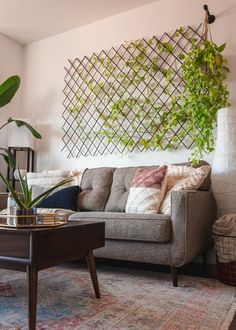 a living room with a couch, coffee table and potted plants on the wall