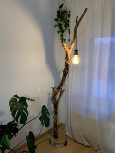 a lamp that is next to a tree in a room with white walls and wooden flooring