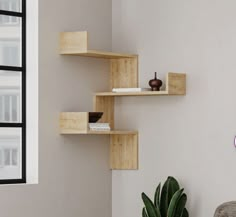 two wooden shelves on the wall next to a potted plant and a vase with a flower in it