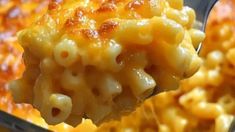 a spoon full of macaroni and cheese being lifted from a casserole dish