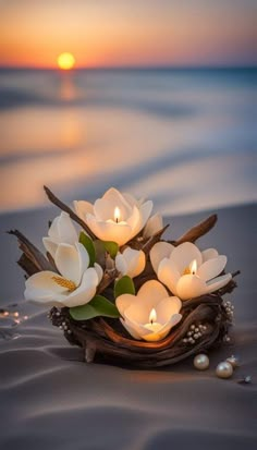 some white flowers are sitting on the sand at the beach with candles in their hands