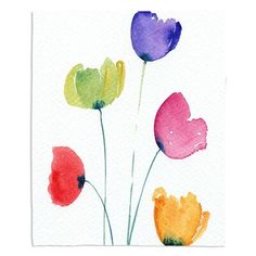 three watercolor flowers are shown on a white paper