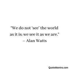 the quote we do not see the world as it is, we see it as we are