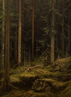 a painting of trees and moss in the woods