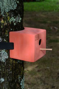 a red box attached to a tree with a black strap around it's neck