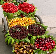 a cart filled with lots of different types of fruit