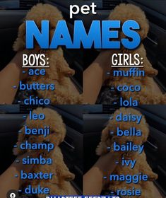 two pictures of a woman in a car with the names of her dogs on them