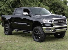 a large black truck parked on top of a lush green field