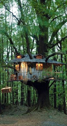 a tree house built in the middle of a forest