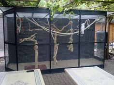 an outdoor area with two tables and a fenced in area that has trees growing out of it