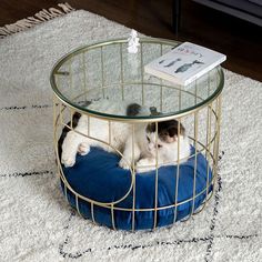 a cat laying on top of a blue pillow in a cage next to a book