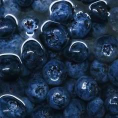 some blueberries are sitting together in the water