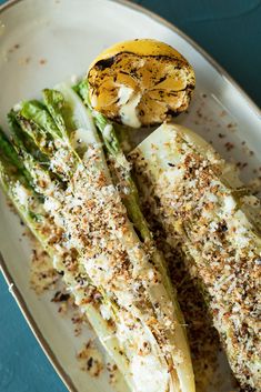 grilled asparagus with parmesan cheese and seasoning on the side