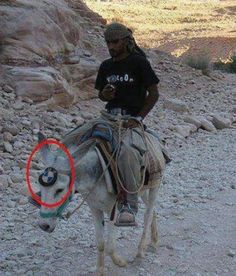 a man riding on the back of a white horse next to a pile of rocks