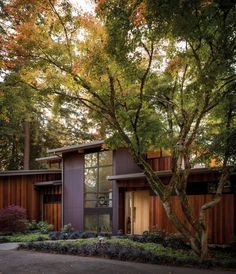 a modern house in the woods surrounded by trees