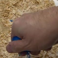 a person is using a blue toothbrush to brush the wood shaving off their teeth