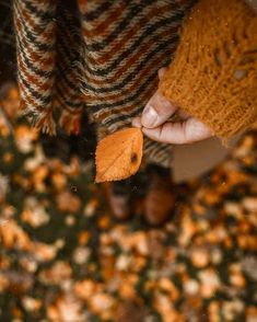 a person is holding an orange leaf in their left hand while standing on the ground