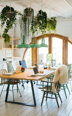 a dining room table and chairs with plants hanging from the ceiling above it, along with laptops