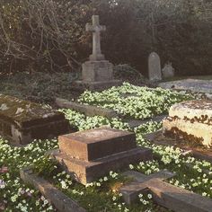 an old cemetery with many headstones and flowers